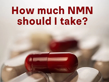 How Much NMN Should I Take?